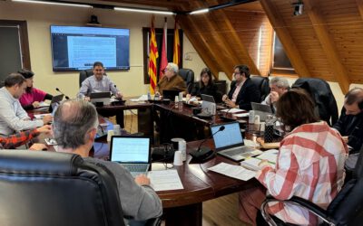 Naut Aran trè a licitacion es 4 viuendes e 9 places de parcatge dera Plaça dera Pica de Salardú