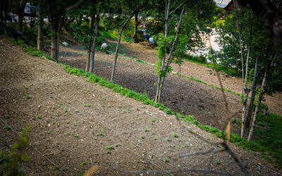 Naut Aran promò uarts comunitaris entàs vesins deth municipi